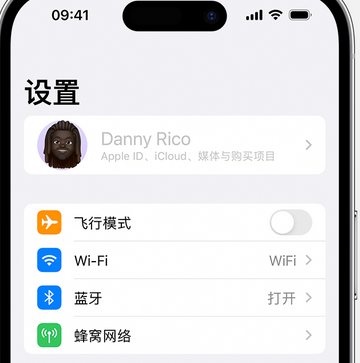 木里appleID维修服务iPhone设置中Apple ID显示为灰色无法使用 