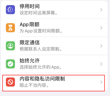 木里appleID维修服务iPhone设置中Apple ID显示为灰色无法使用