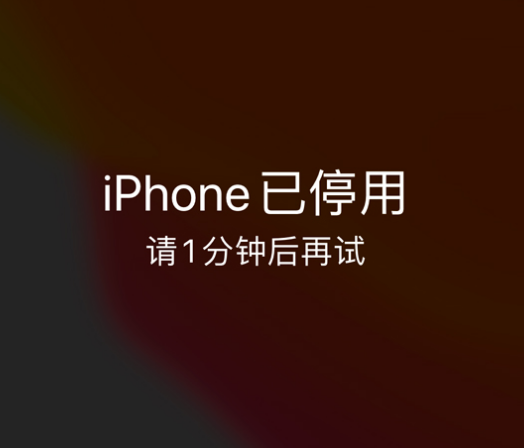 木里苹果手机维修分享:iPhone 显示“不可用”或“已停用”怎么办？还能保留数据吗？ 