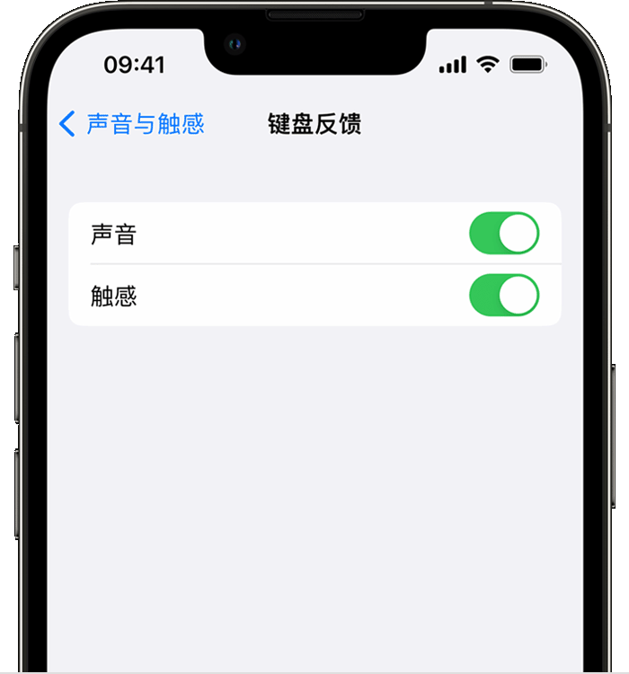 木里苹果14维修店分享如何在 iPhone 14 机型中使用触感键盘 