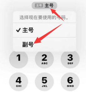 木里苹果14维修店分享iPhone 14 Pro Max使用副卡打电话的方法 