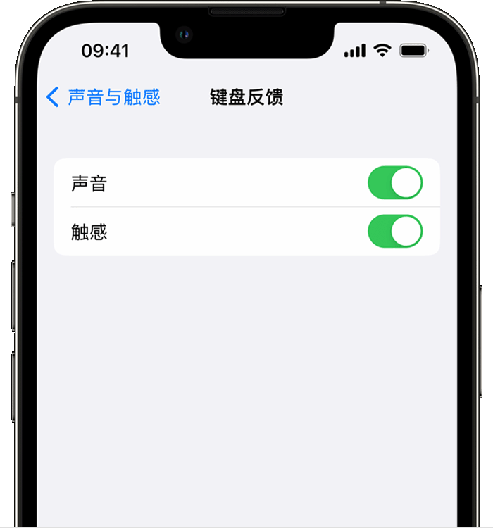 木里苹果14维修分享iPhone 14 系列机型如何开启键盘声音或触感反馈 