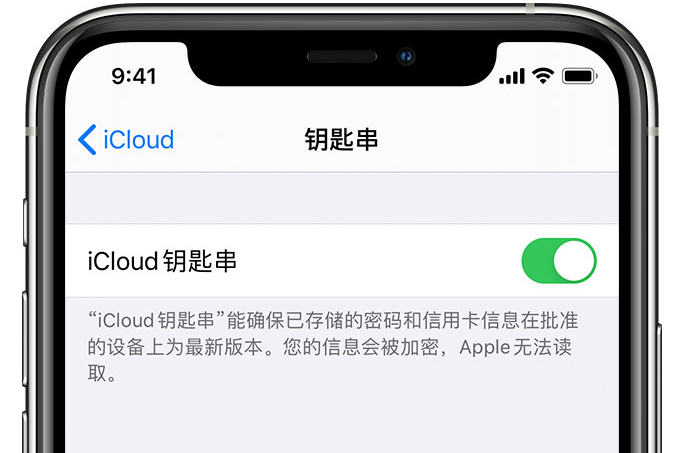 木里苹果手机维修分享在 iPhone 上开启 iCloud 钥匙串之后会储存哪些信息 