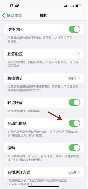 木里苹果手机维修分享iPhone手机如何设置摇一摇删除文字 