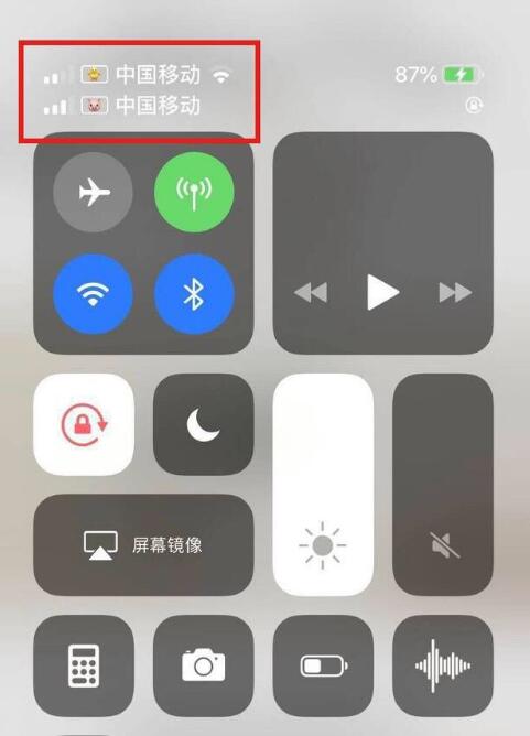 木里苹果手机维修分享为 iPhone 12 双卡设置标签 